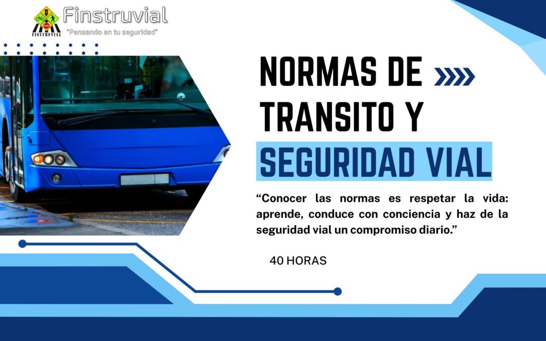 NORMAS DE TRANSITO Y SEGURIDAD VIAL