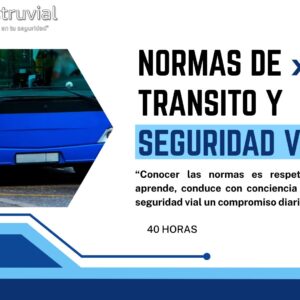 NORMAS DE TRANSITO Y SEGURIDAD VIAL